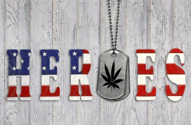 VETERANS FOR MEDICAL MARIJUANA